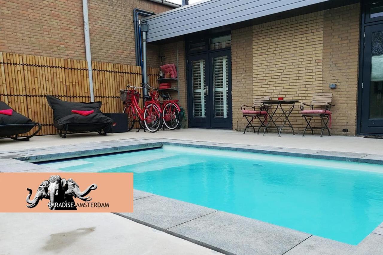 Paradise Amsterdam Of 80 M2 With Private Pool Apartment