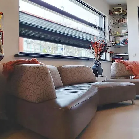 Paradise Amsterdam Bungalow Of 80 M2 With Private Pool Zandvoort Exterior photo