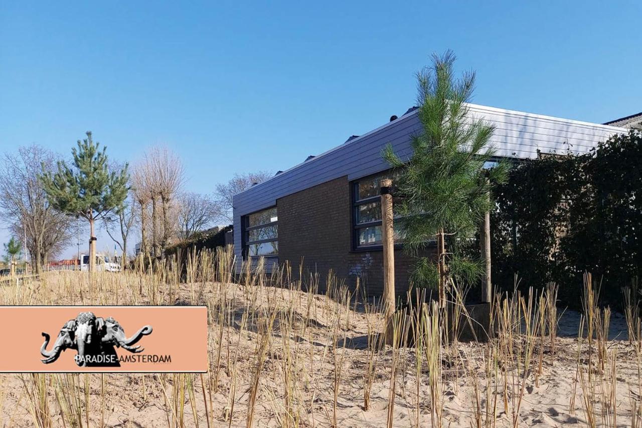 Paradise Amsterdam Of 80 M2 With Private Pool Zandvoort