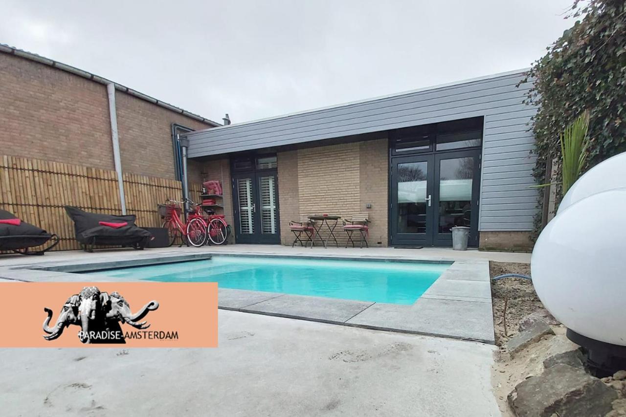 Paradise Amsterdam Of 80 M2 With Private Pool Apartment Zandvoort